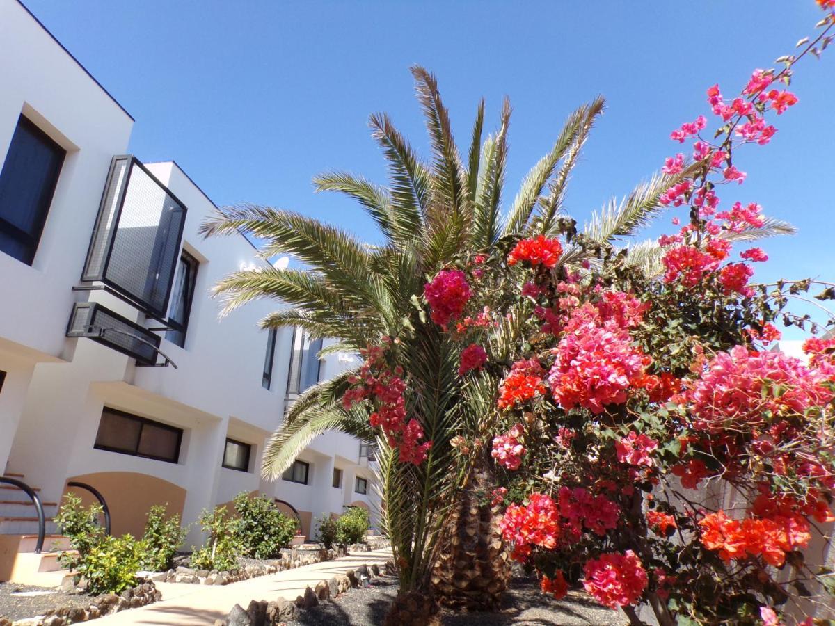 Amaya Ocean View Apartment Costa De Antigua Εξωτερικό φωτογραφία